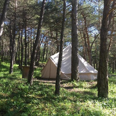 Camping La Chabannerie Hotel Saint-Martin-de-Clelles Екстериор снимка