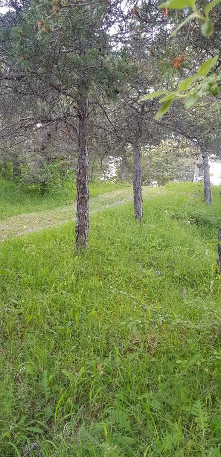 Camping La Chabannerie Hotel Saint-Martin-de-Clelles Екстериор снимка