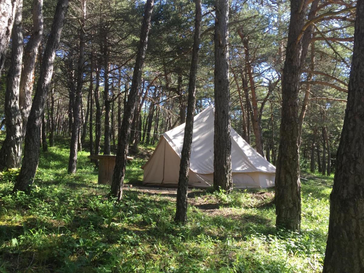 Camping La Chabannerie Hotel Saint-Martin-de-Clelles Екстериор снимка