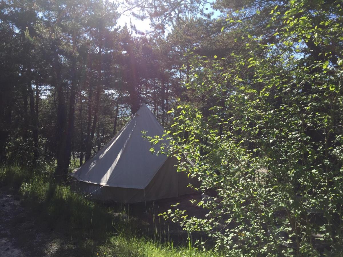Camping La Chabannerie Hotel Saint-Martin-de-Clelles Екстериор снимка